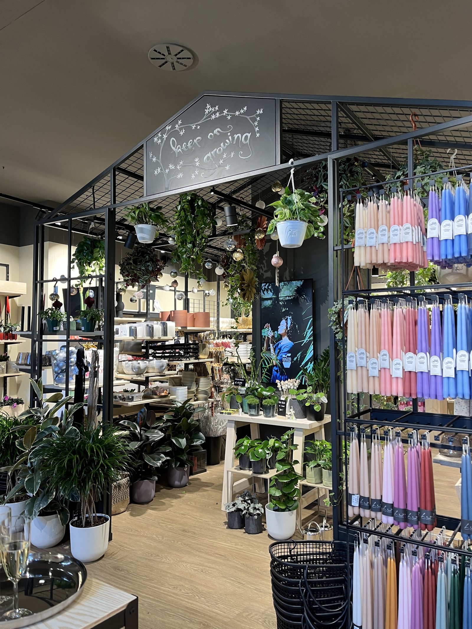 Salon Verde Landstraßer Hauptstraße