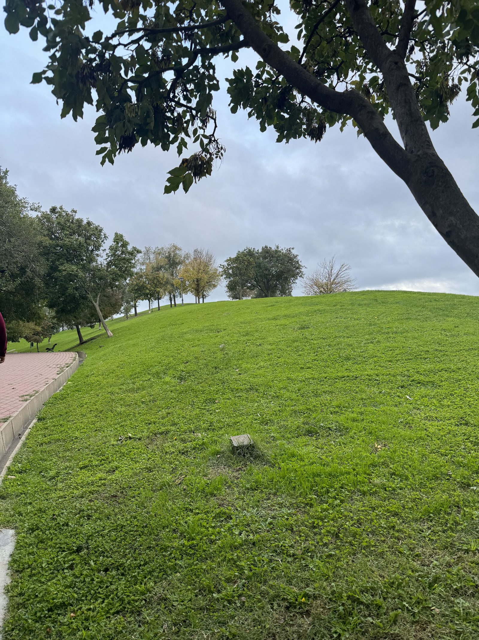 Cerro del Tío Pío Park