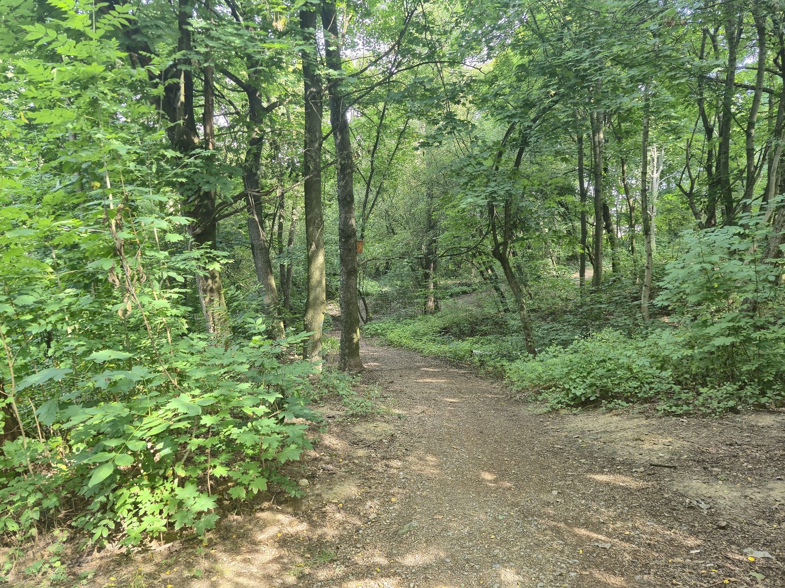 Reduta Park