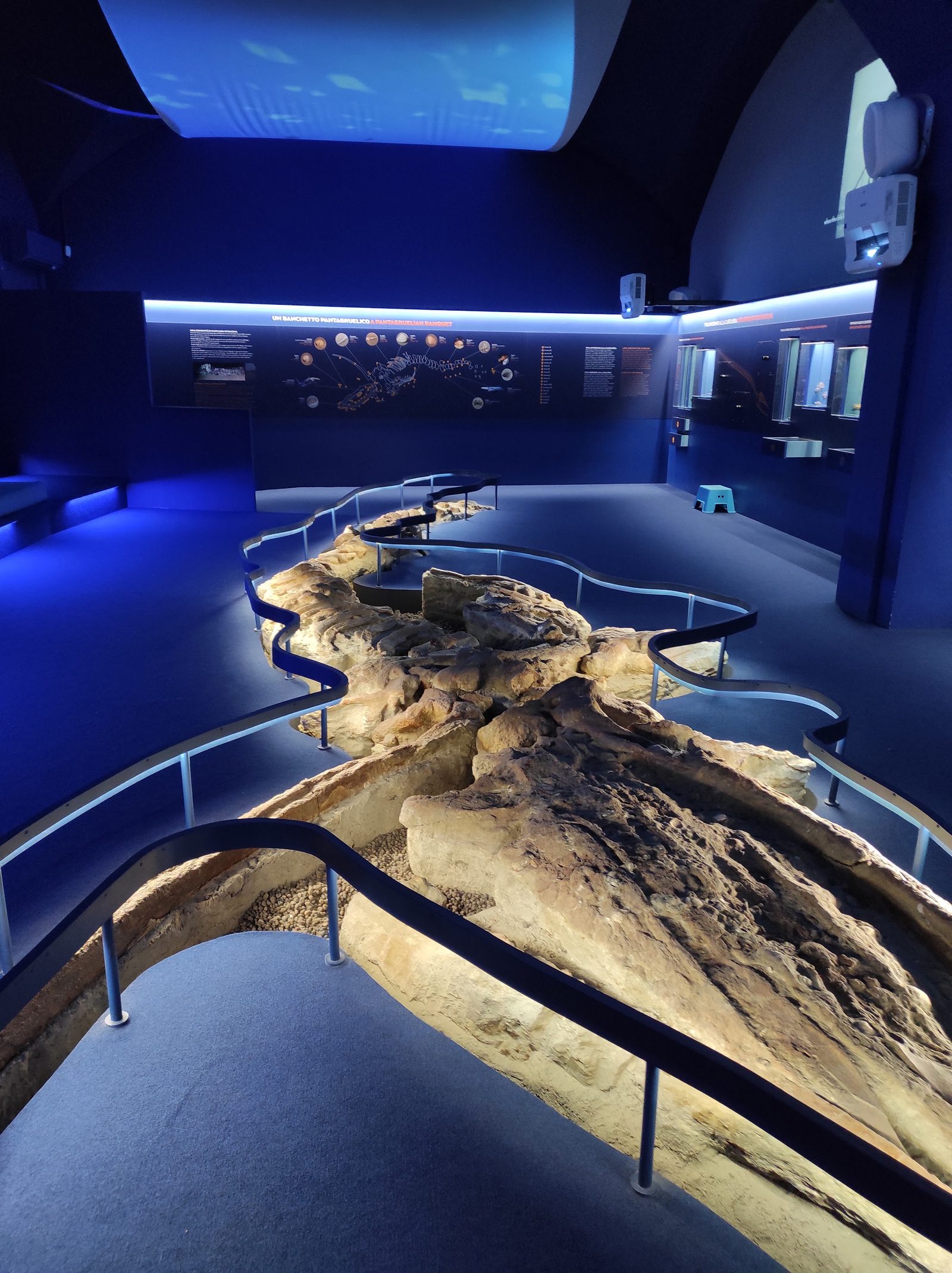 Geology and Paleontology Museum