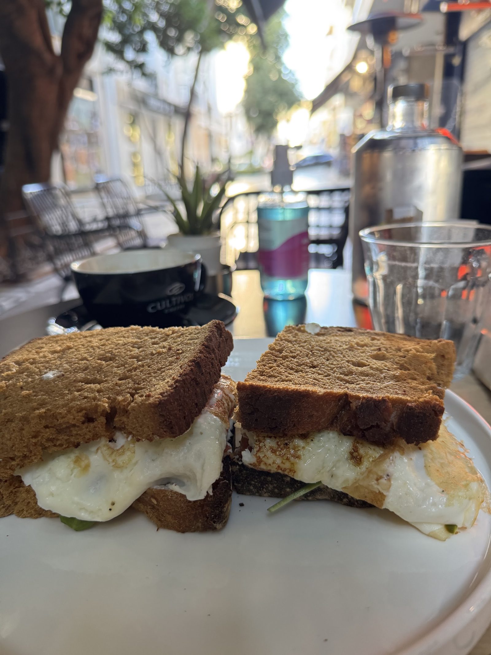 Cultivos Coffee