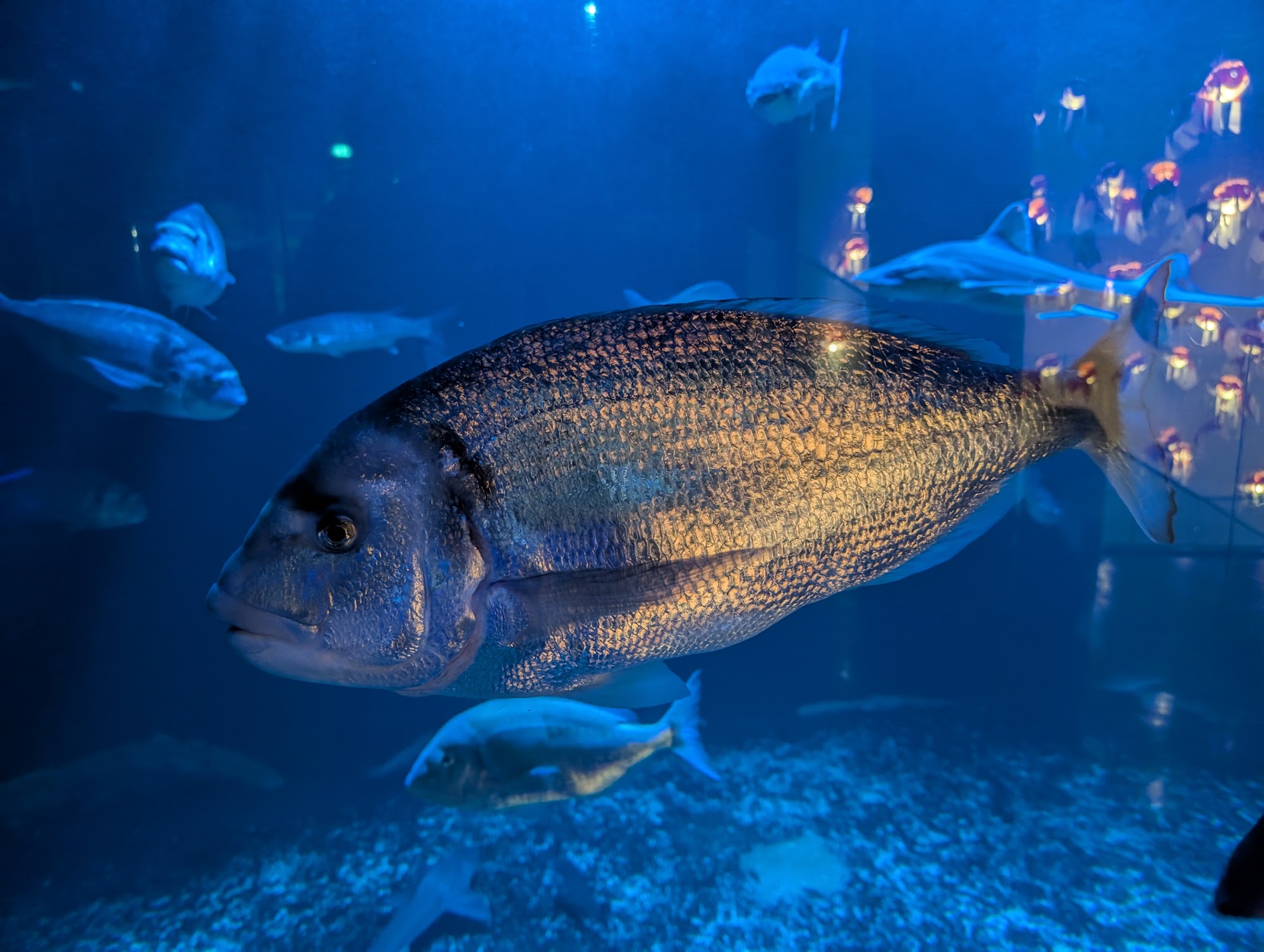 Aquarium de Paris