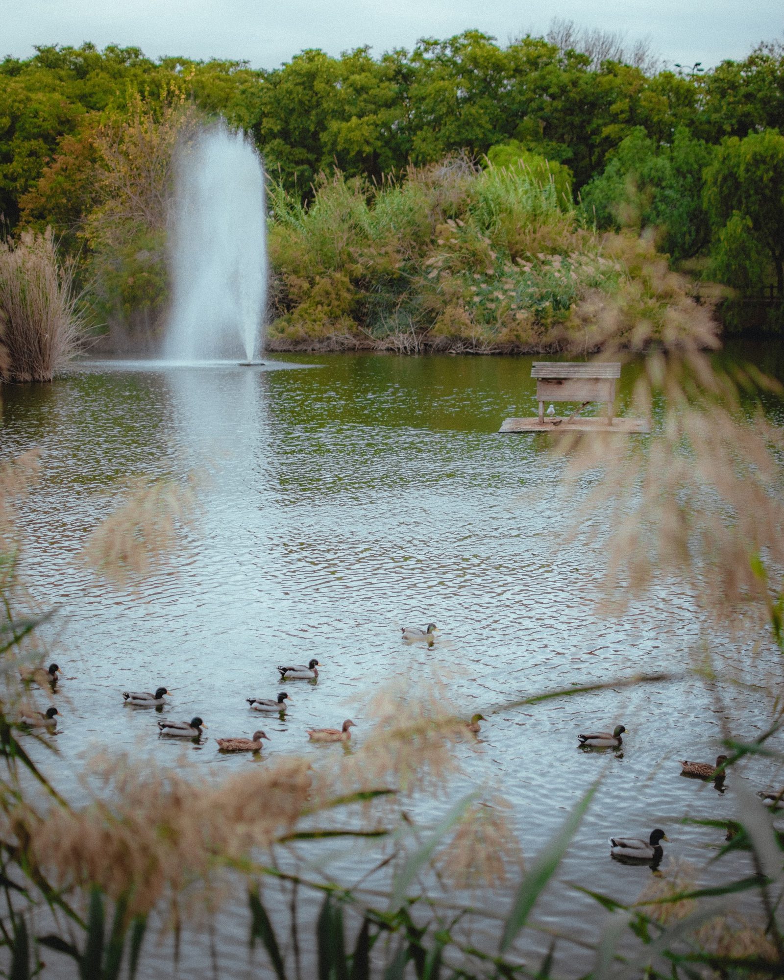 Parque Miraflores