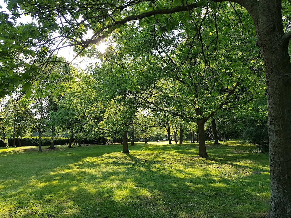 Volkspark Rehberge