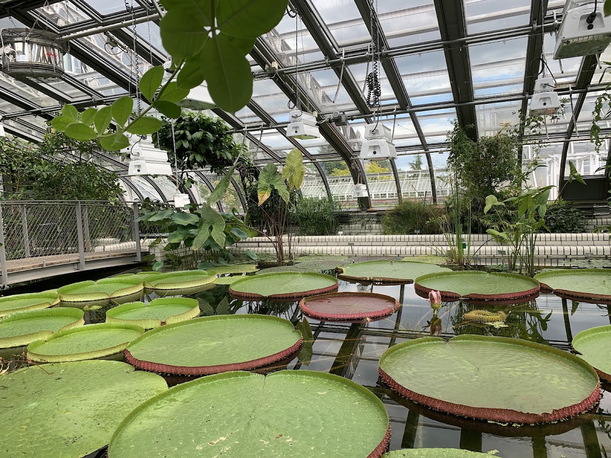 Botanical Garden and Botanical Museum