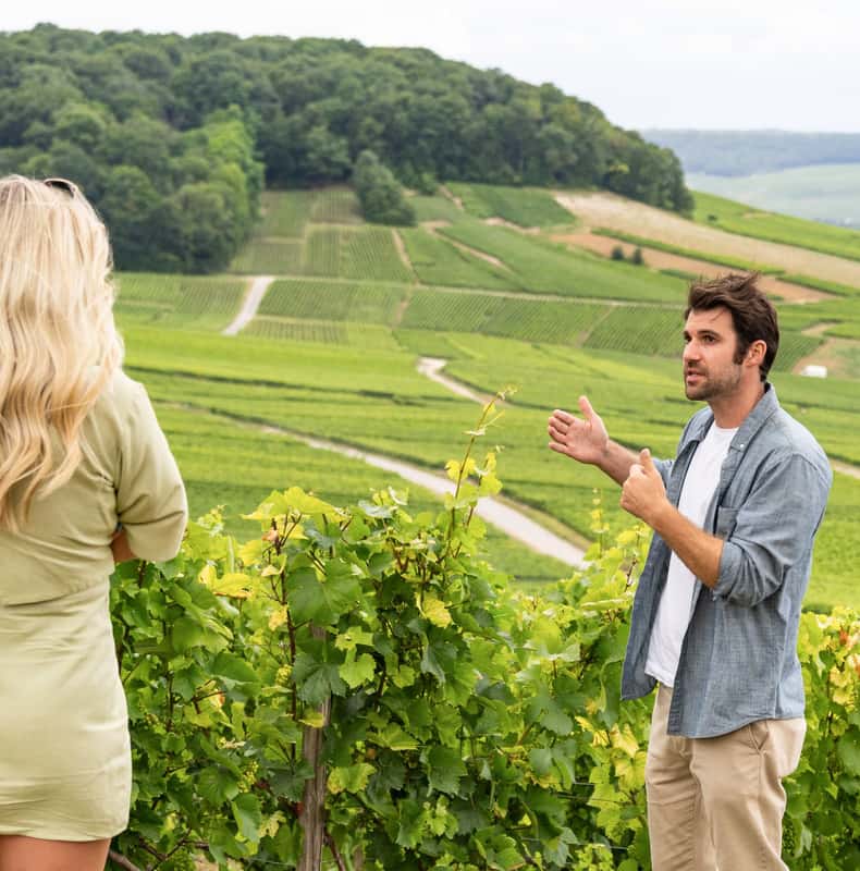 Day visit Champagne with lunch and wine tasting