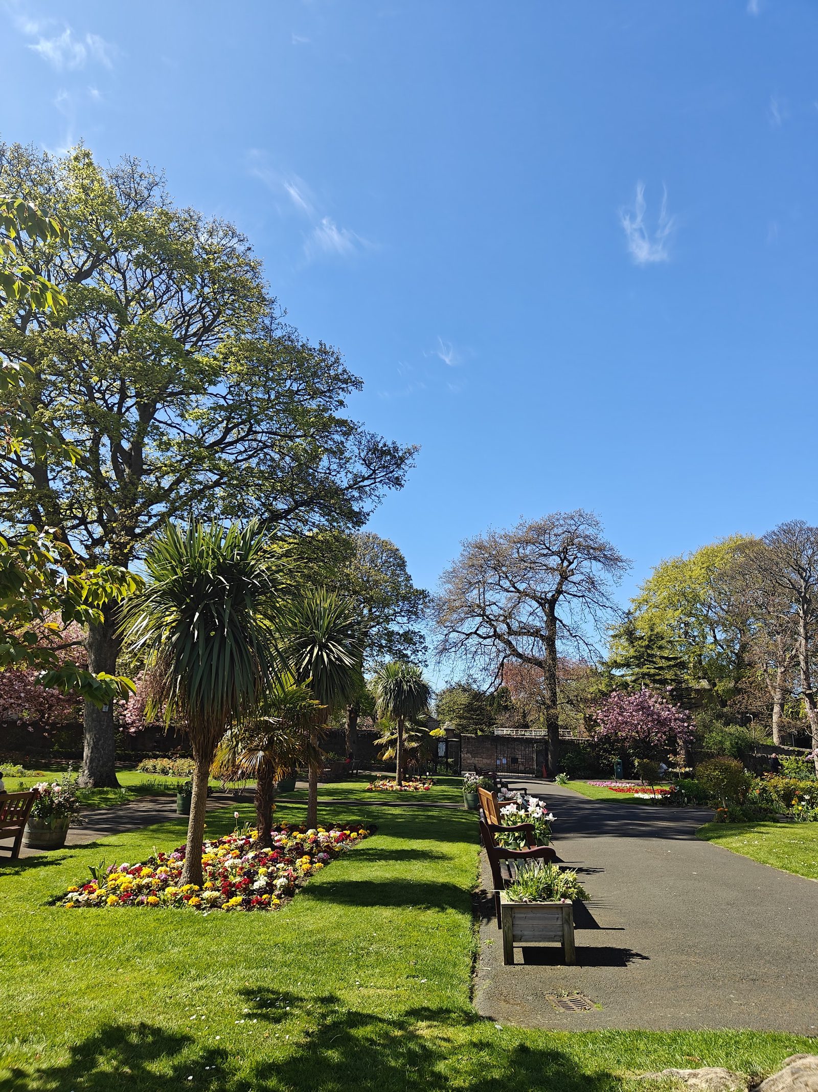 Starbank Park