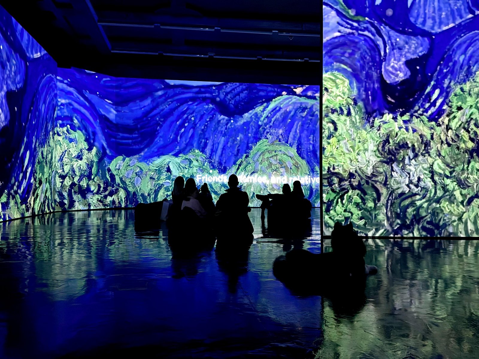 Van Gogh Immersive Exhibition Ticket