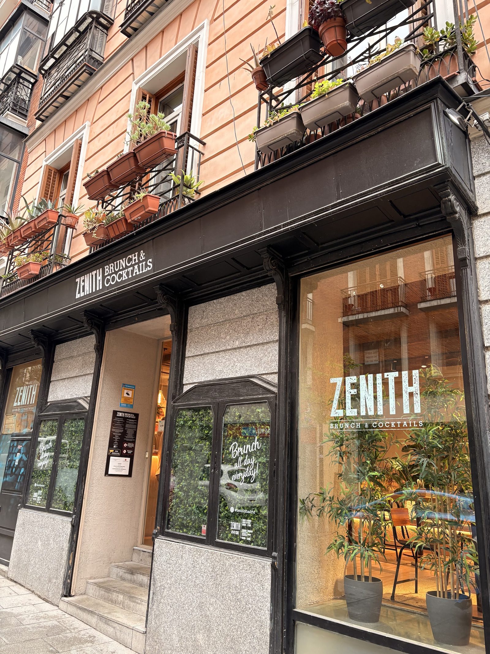 Zenith Brunch & Cocktails