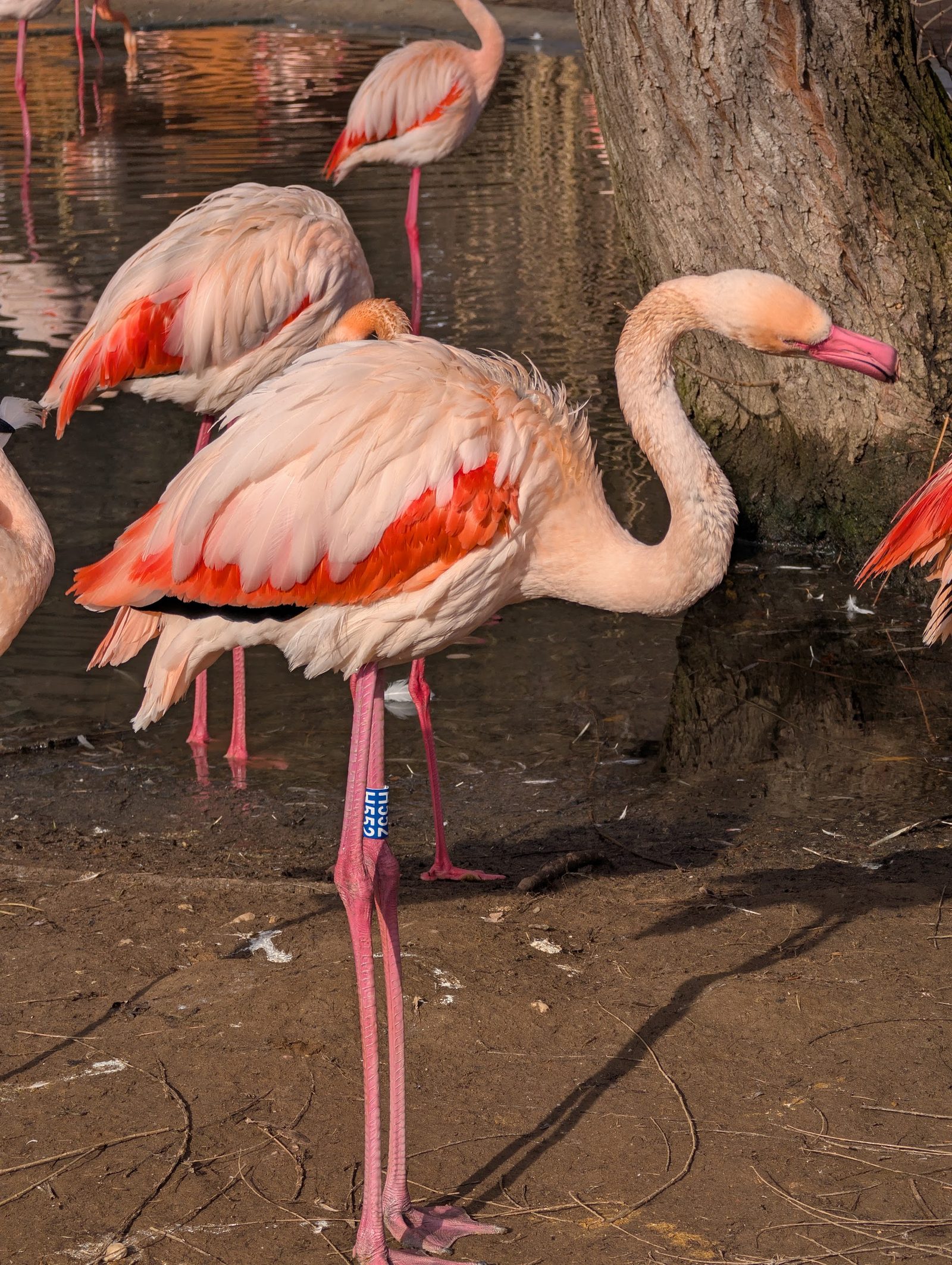 Prague Zoo