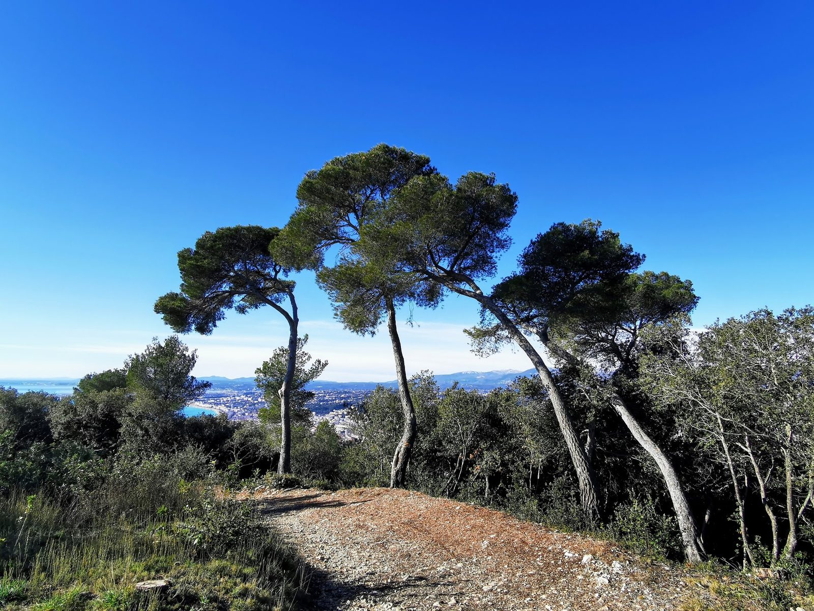 Parc du Vinaigrier