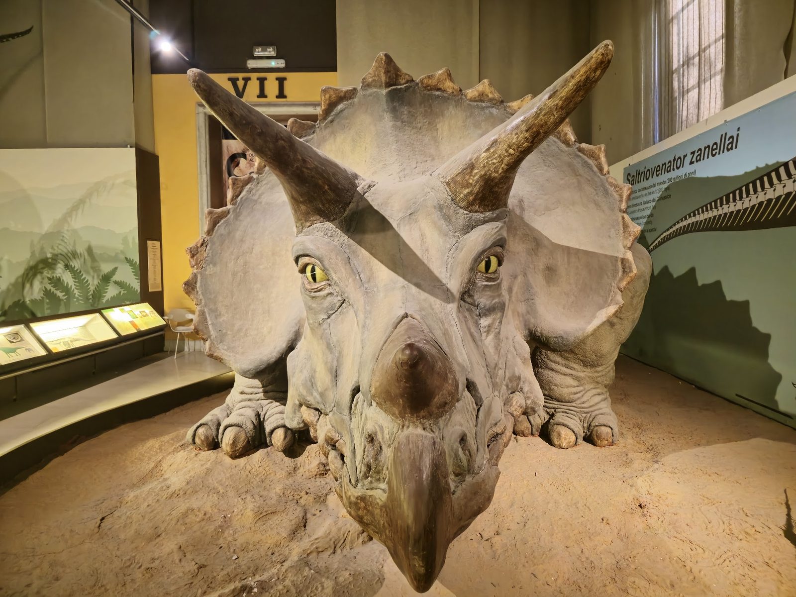 Milan Natural History Museum
