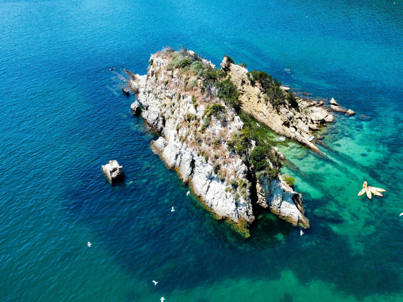 Kayaking and Snorkeling Adventure