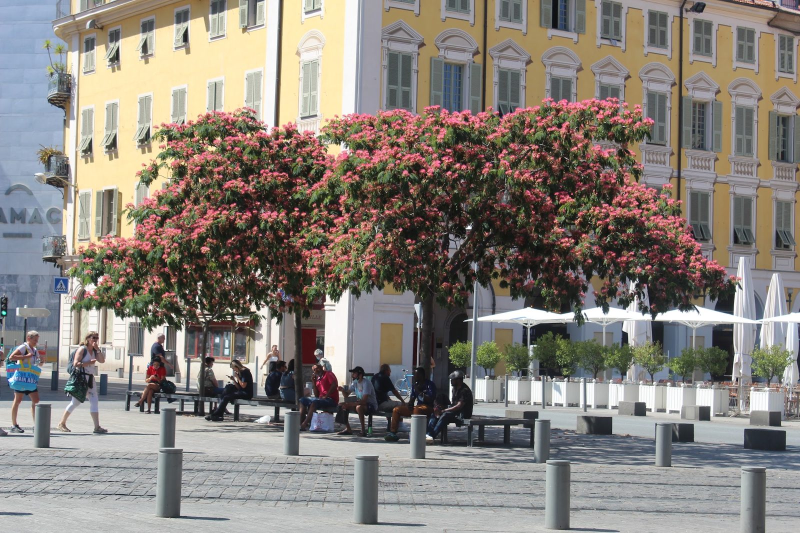 old nice