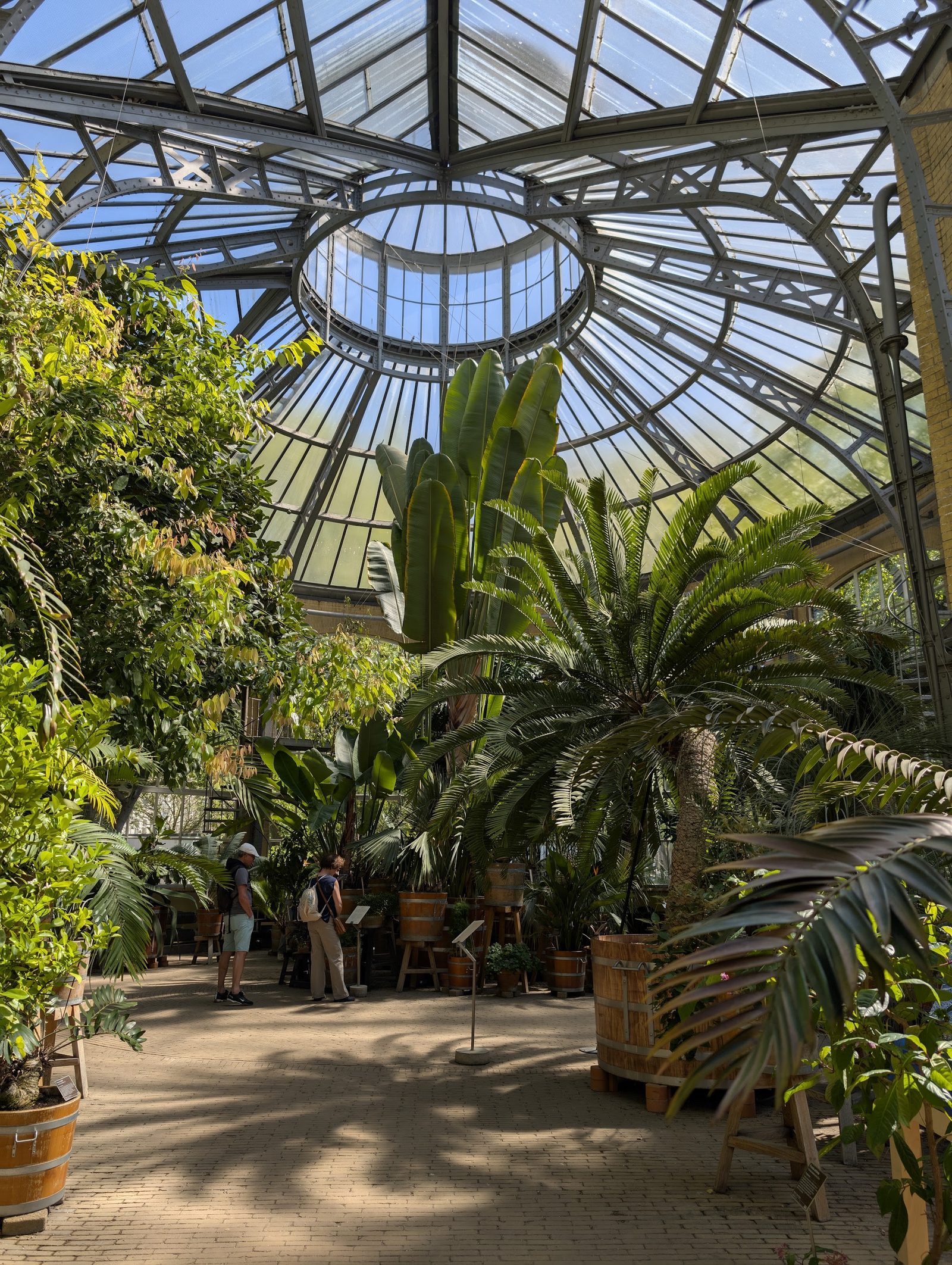 Hortus Botanicus