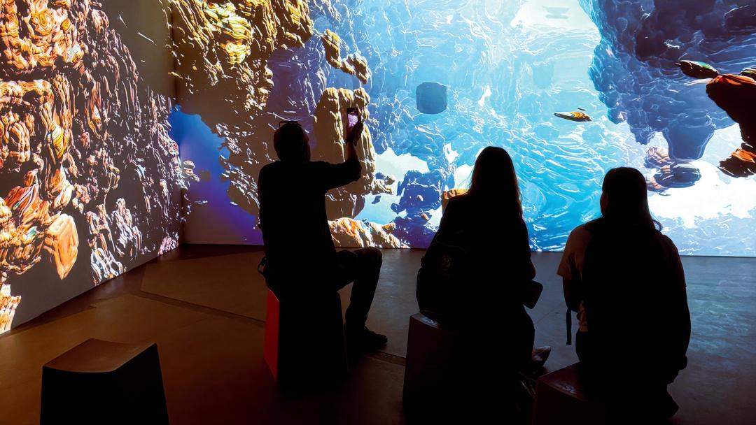 Interactive Digital Art Experience at Lumia Gallery