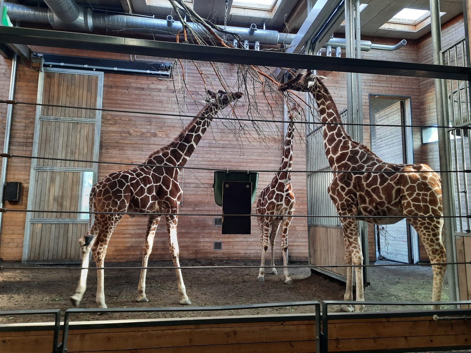 Copenhagen Zoo