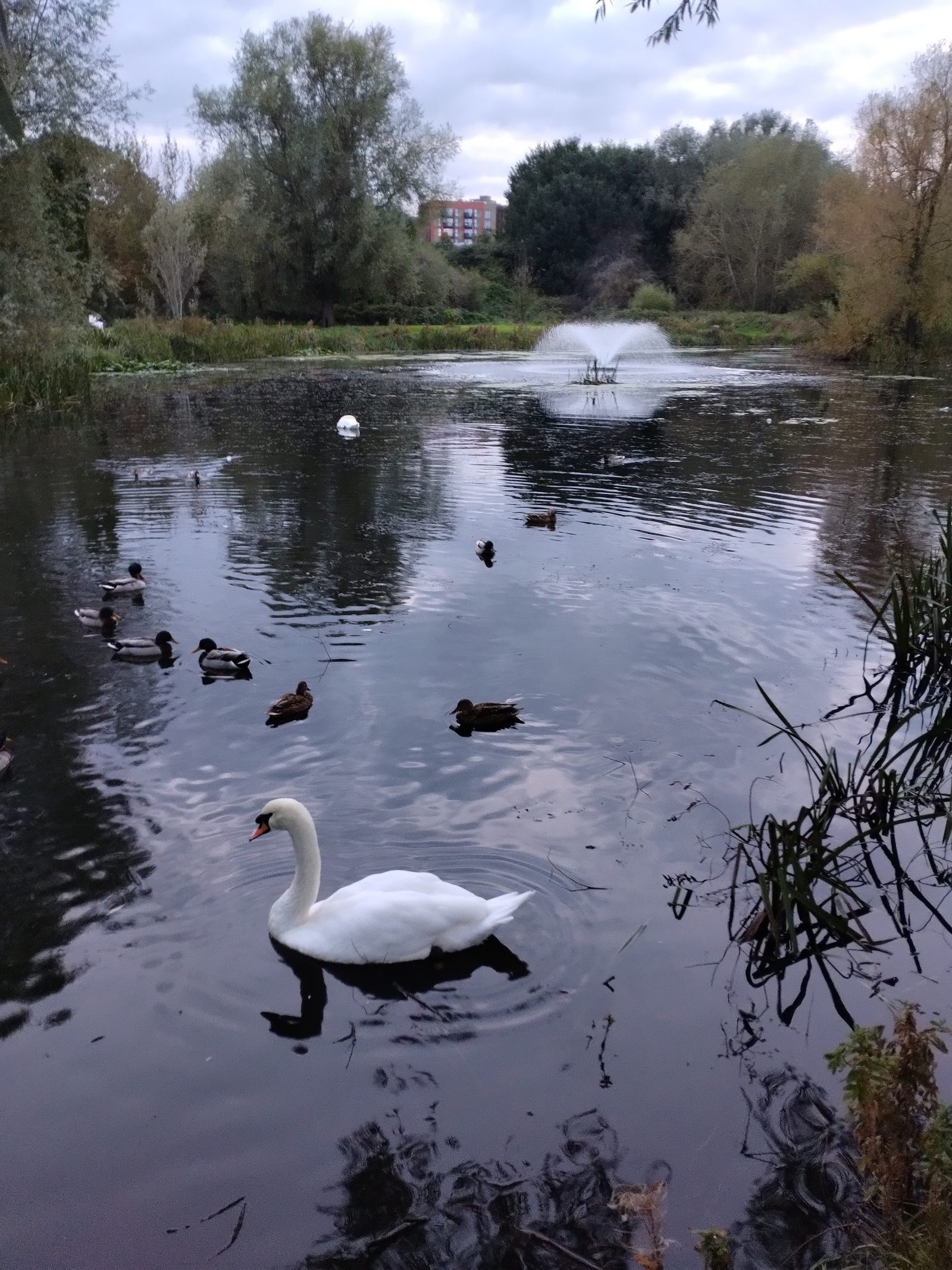 Tolka Valley Park