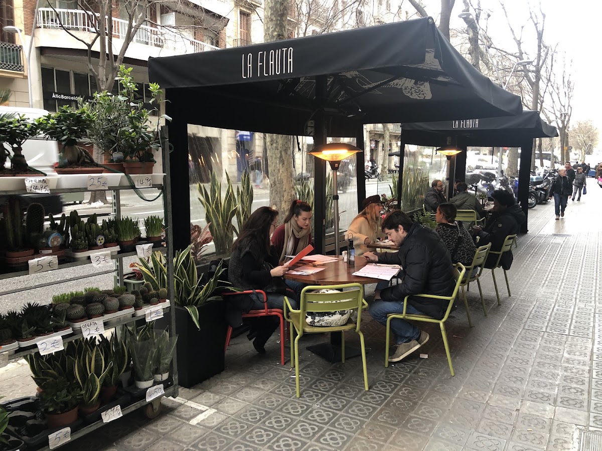 La Flauta | Aribau