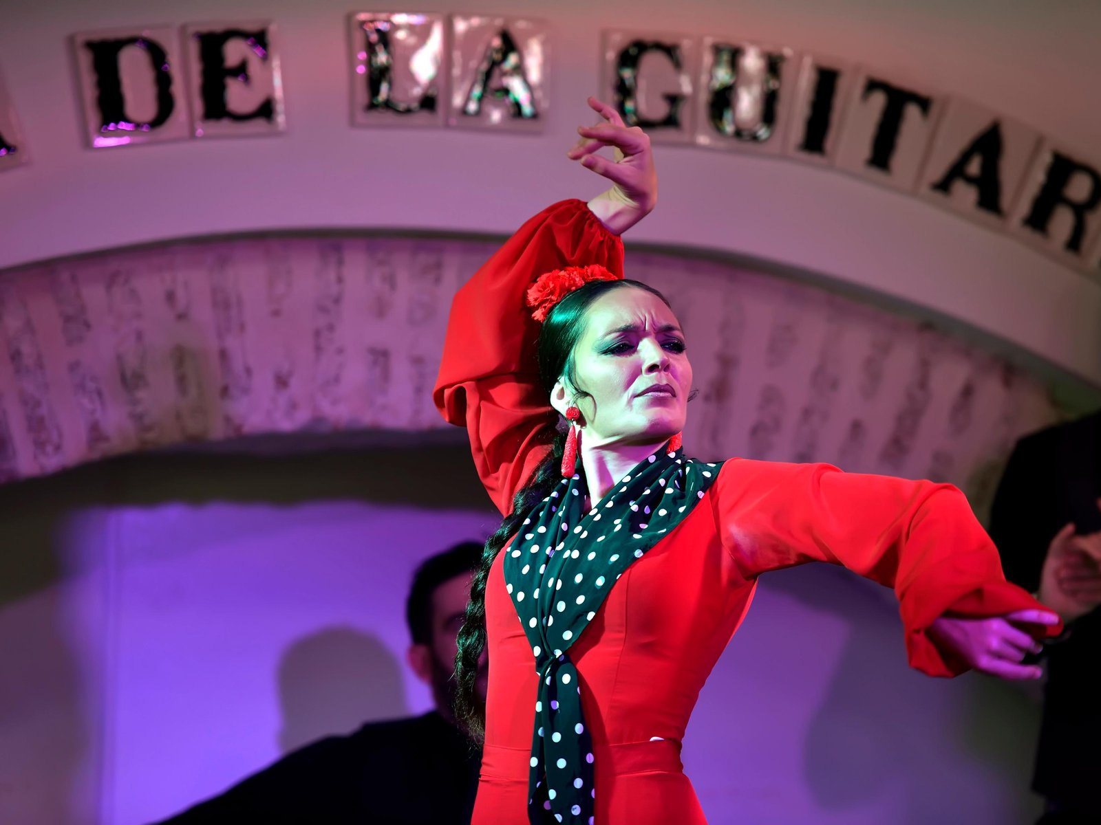 Ticket to Flamenco Show at La Casa de la Guitarra