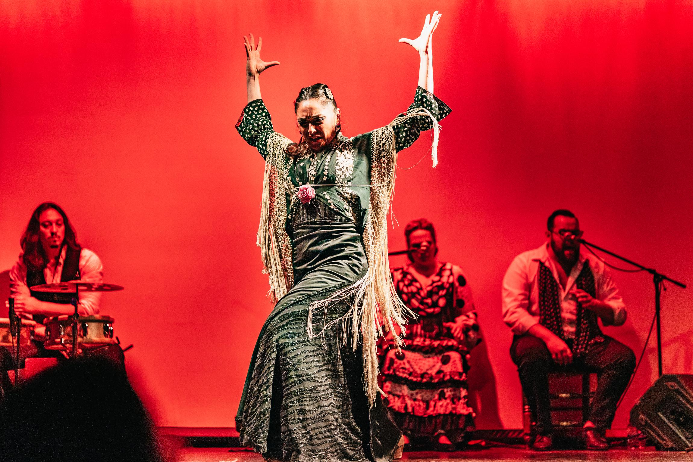 Flamenco Show at the Theater "City Hall"