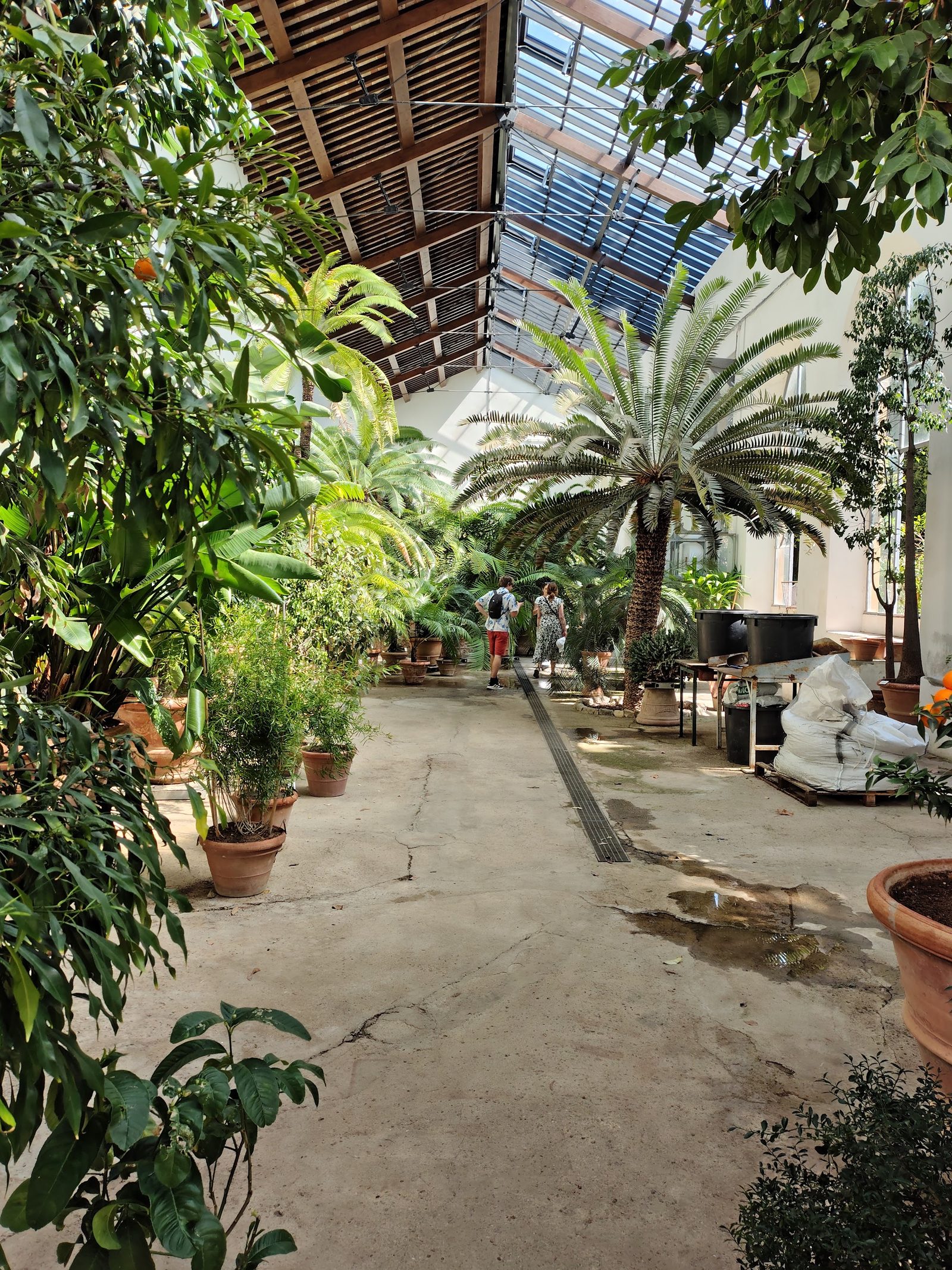 Orto Botanico Giardino dei Semplici - Università di Firenze