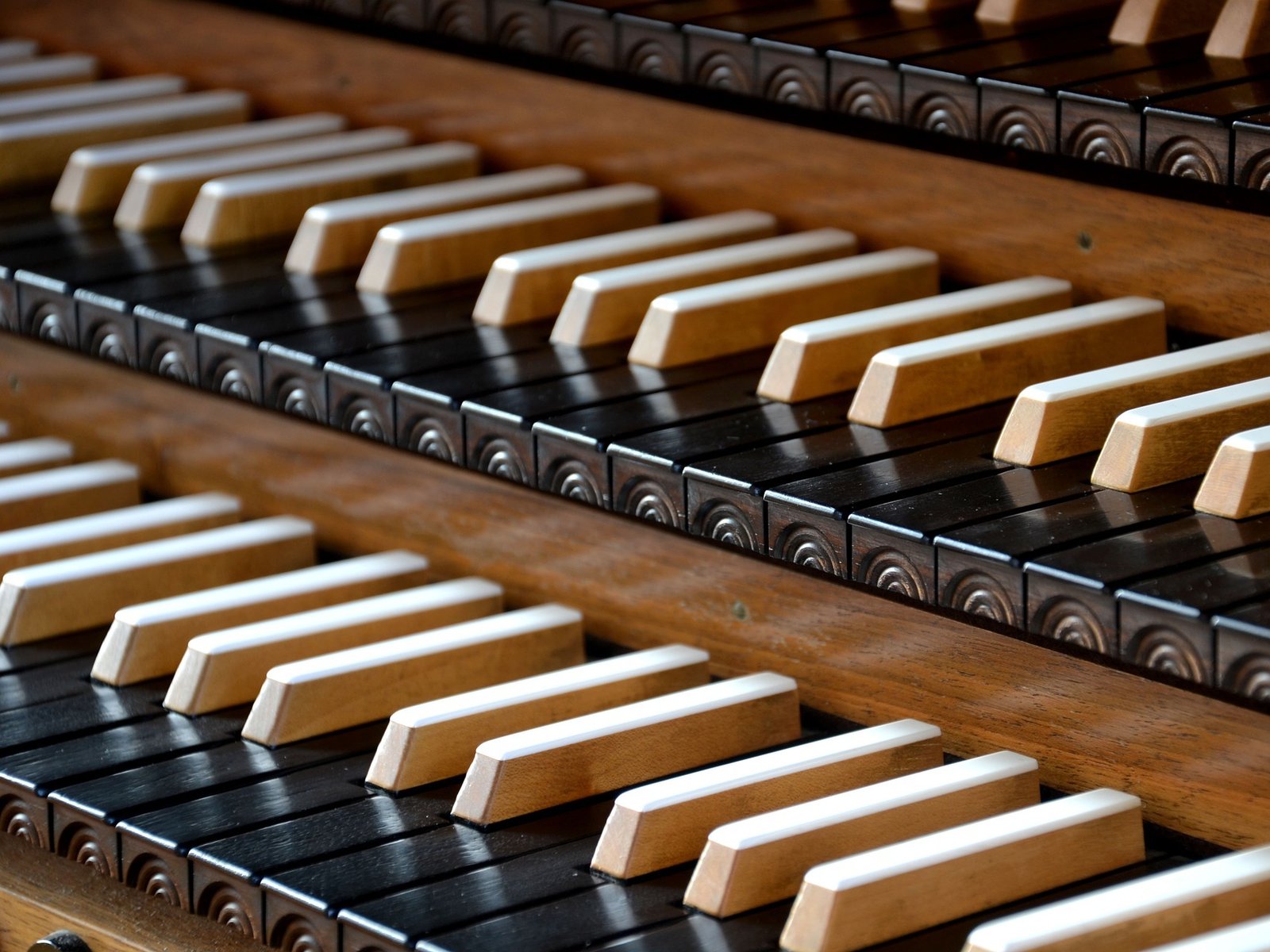 Classical Music Concerts in Matthias Church