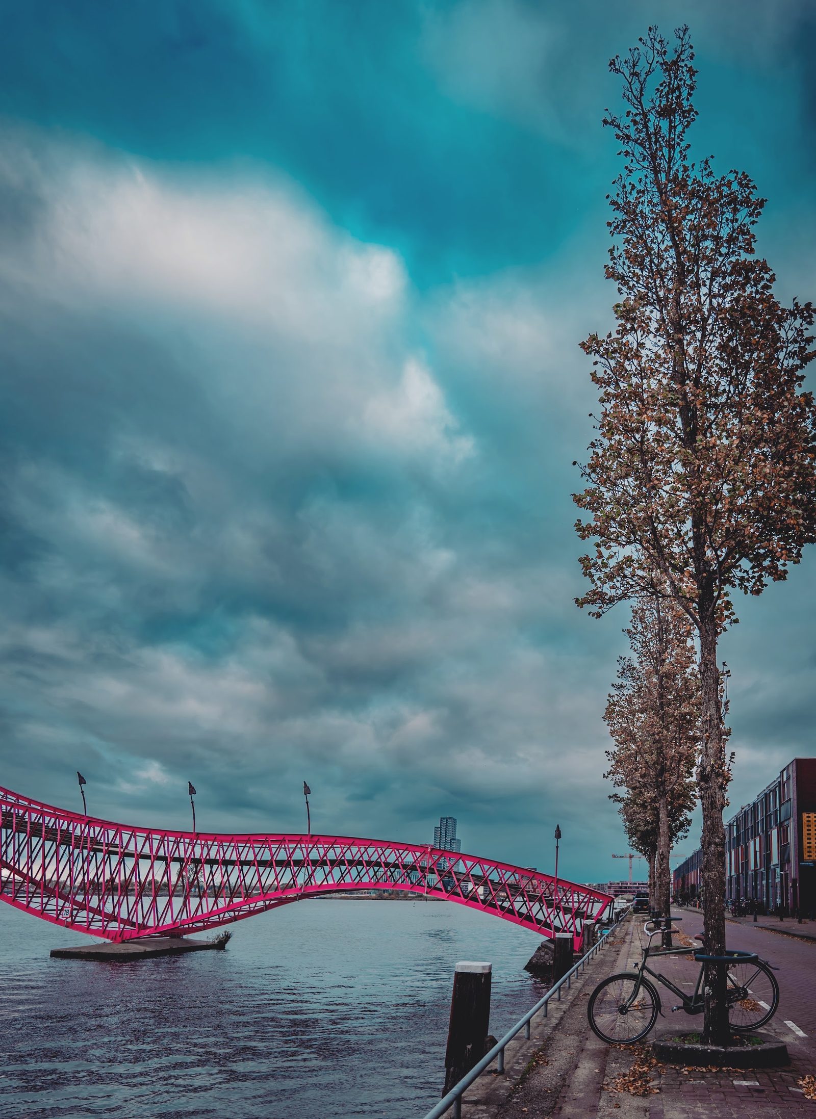 Pythonbrug