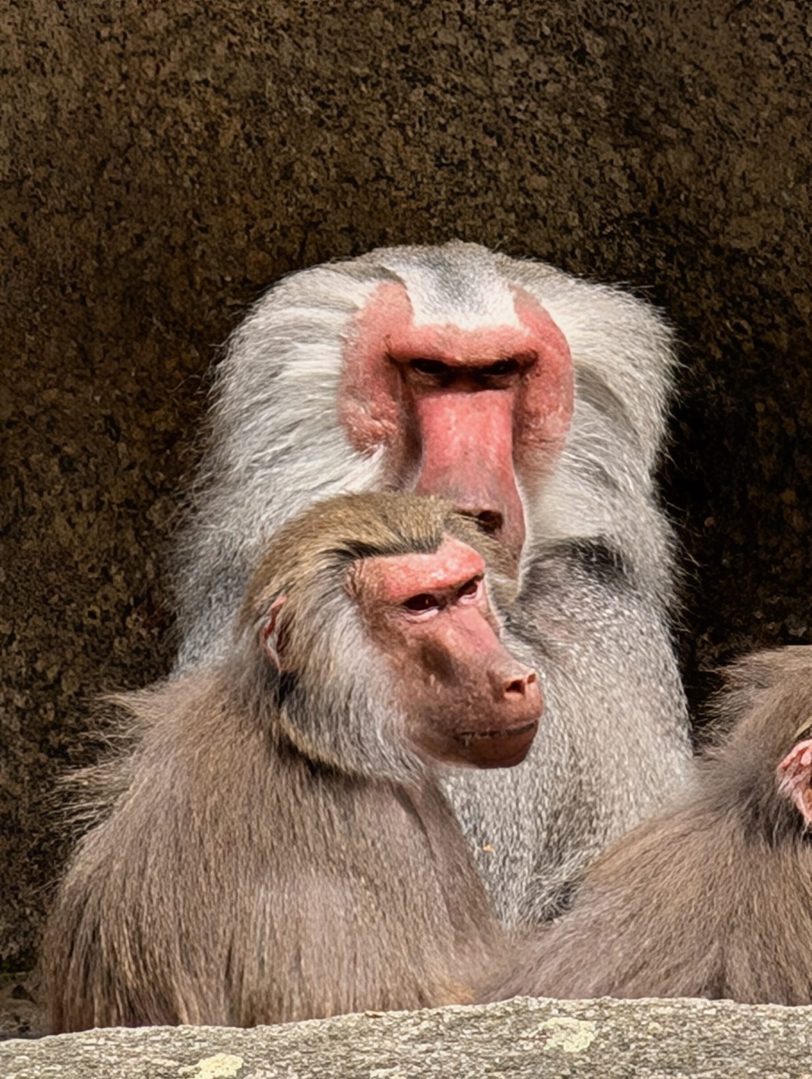 Hellabrunn Zoo