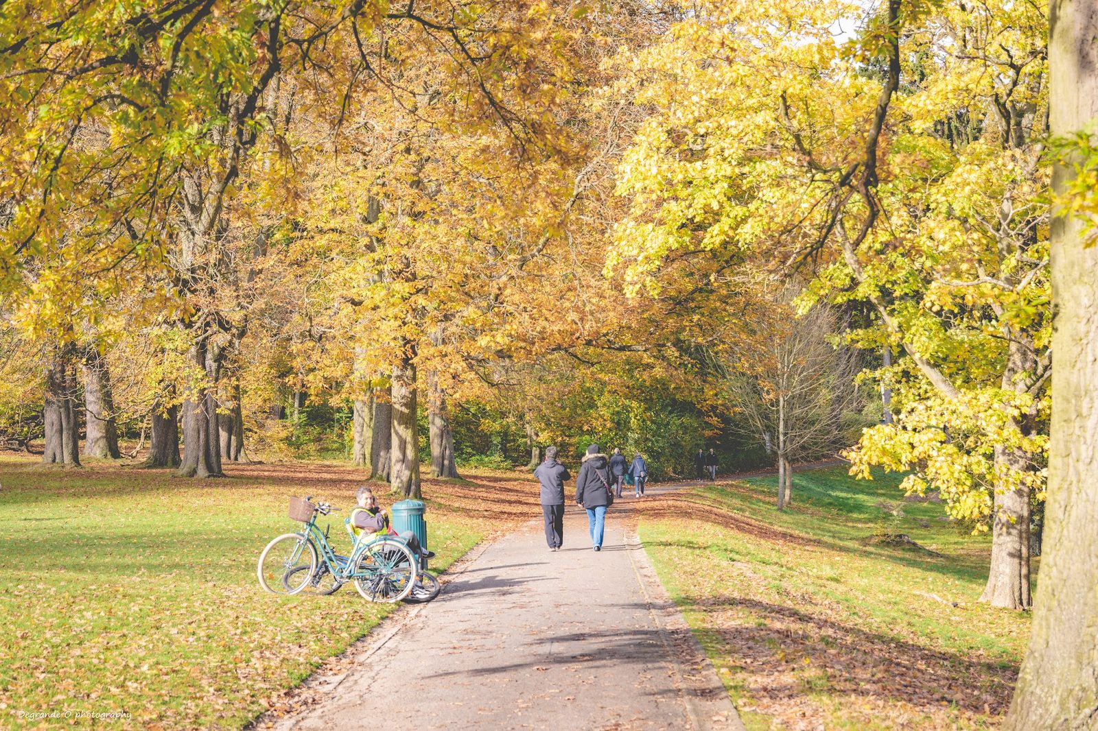 Woluwe Park
