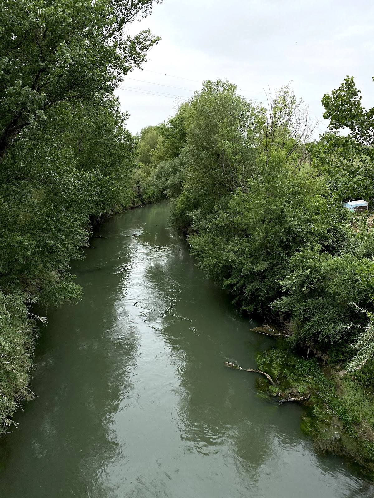 Valle dell'Aniene Nature Reserve