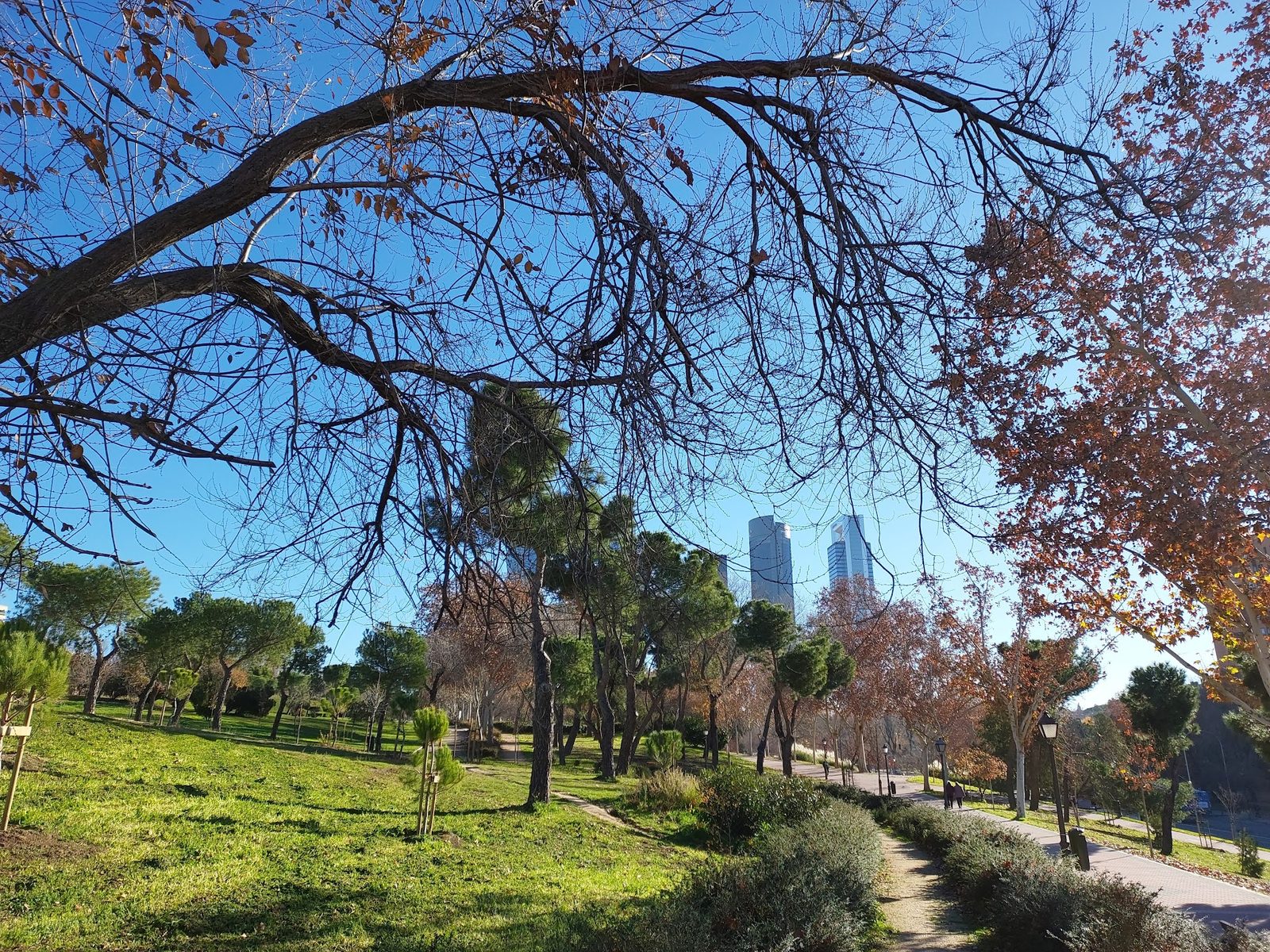 Parque Norte