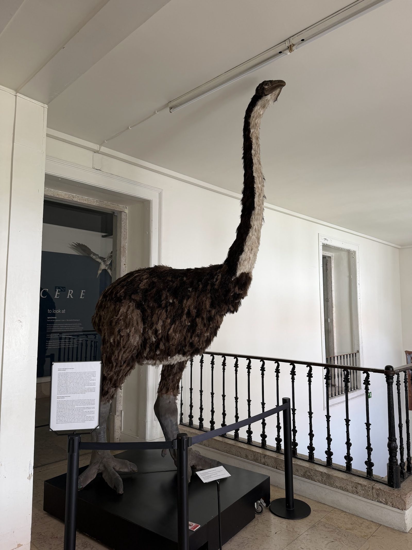 National Museum of Science & Natural History
