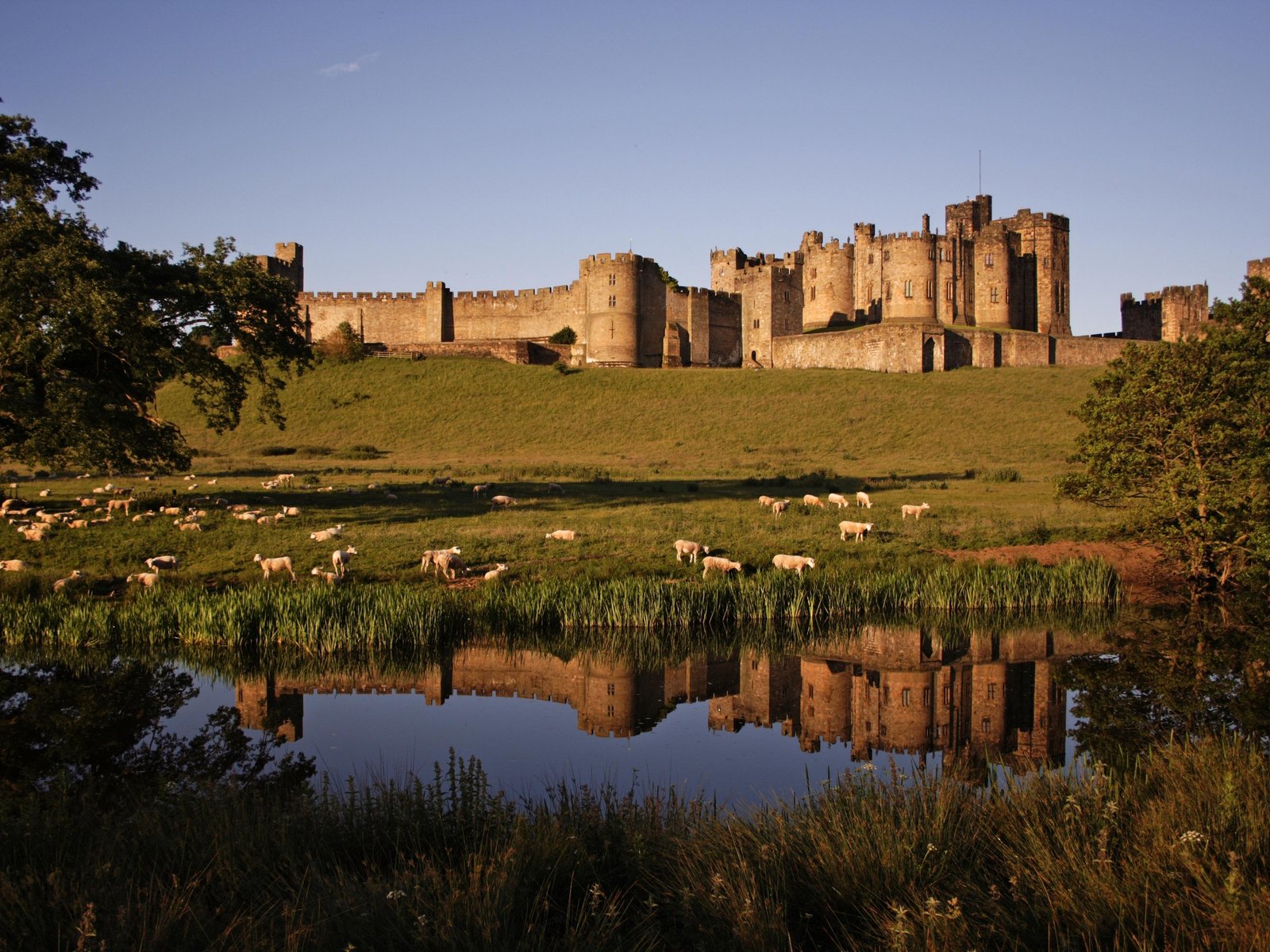 Holy Island, Alnwick Castle & Northumbria