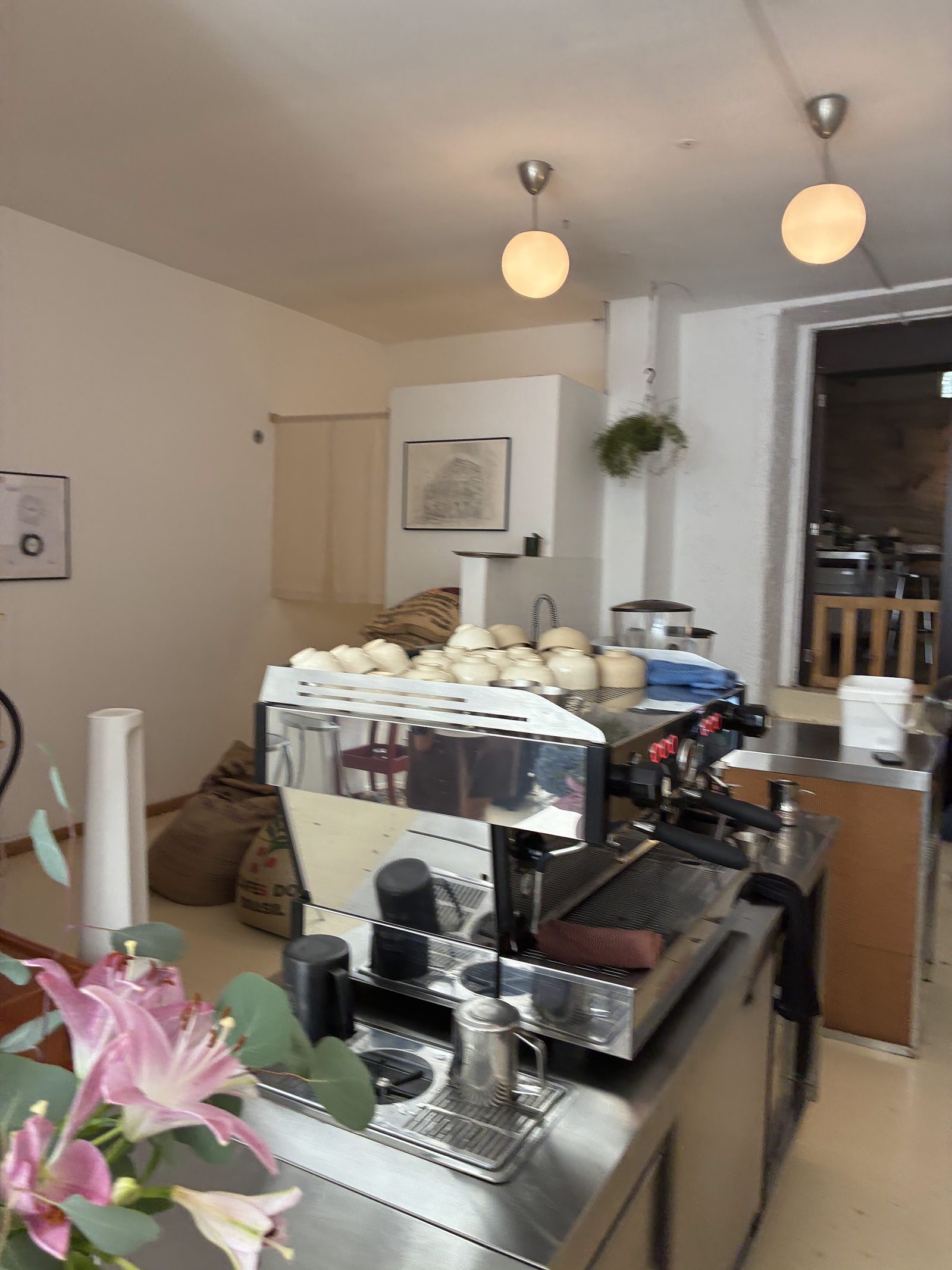 von&vonnie microroasters