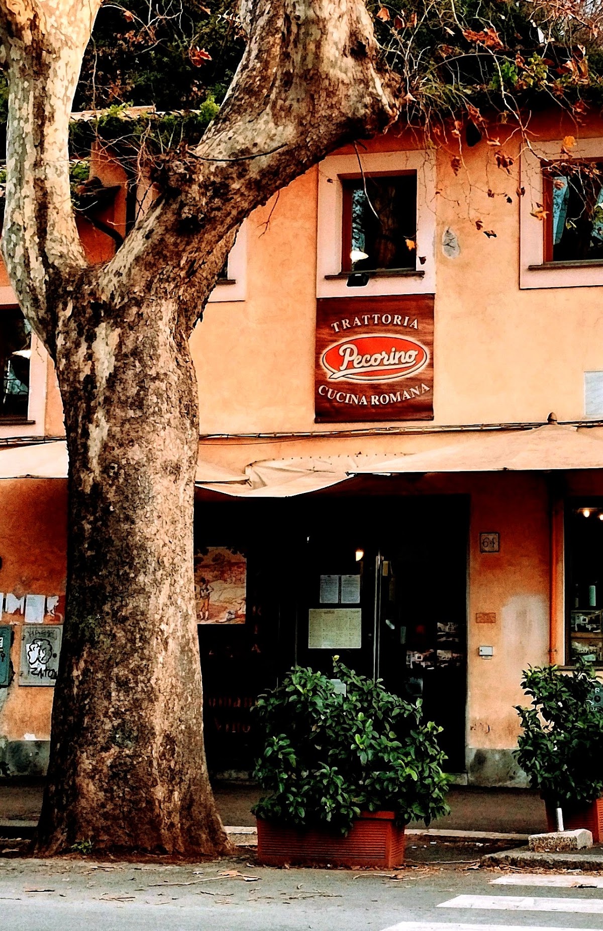 Ristorante Pecorino