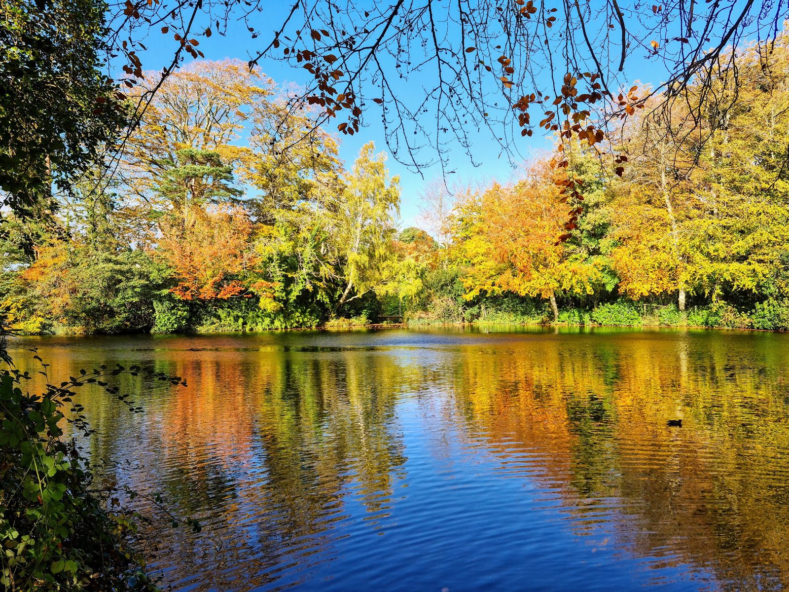 Marlay Park