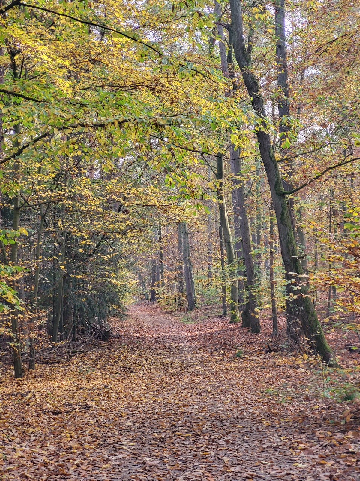 Grunewald