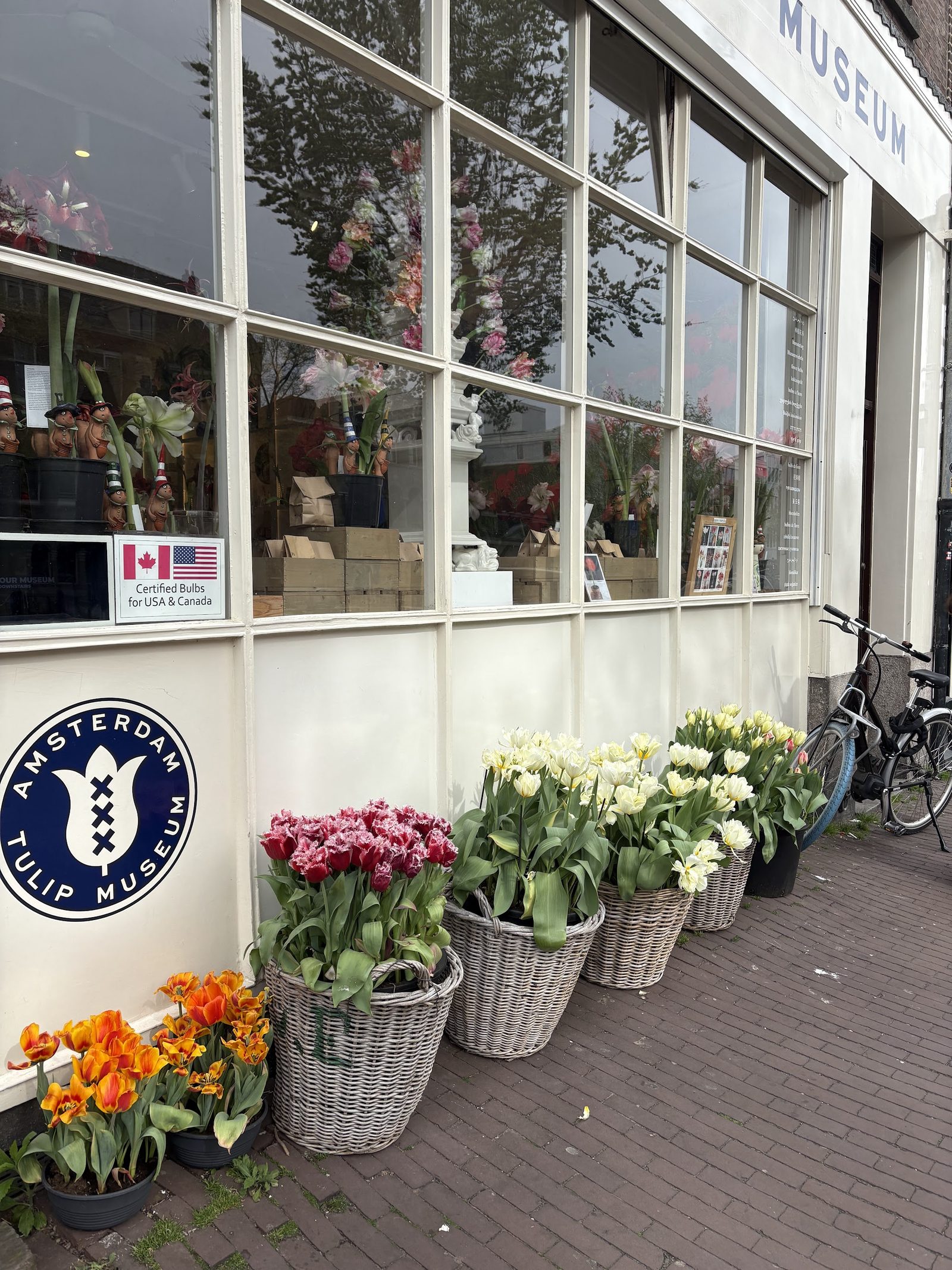 Amsterdam Tulip Museum