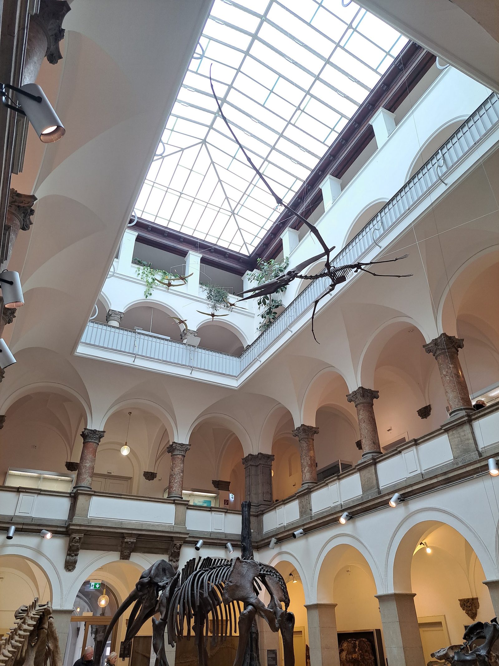 Palaeontological Museum, Munich
