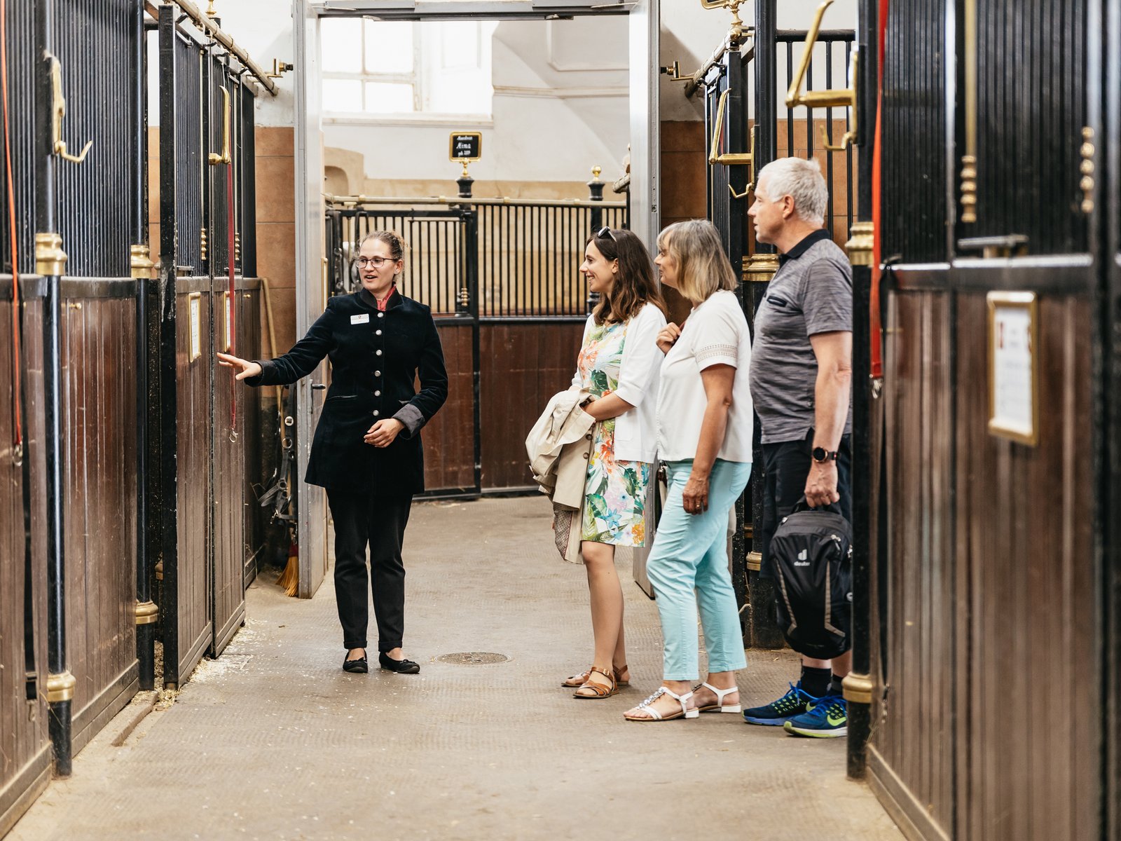 Vienna Spanish Riding School Guided Tour