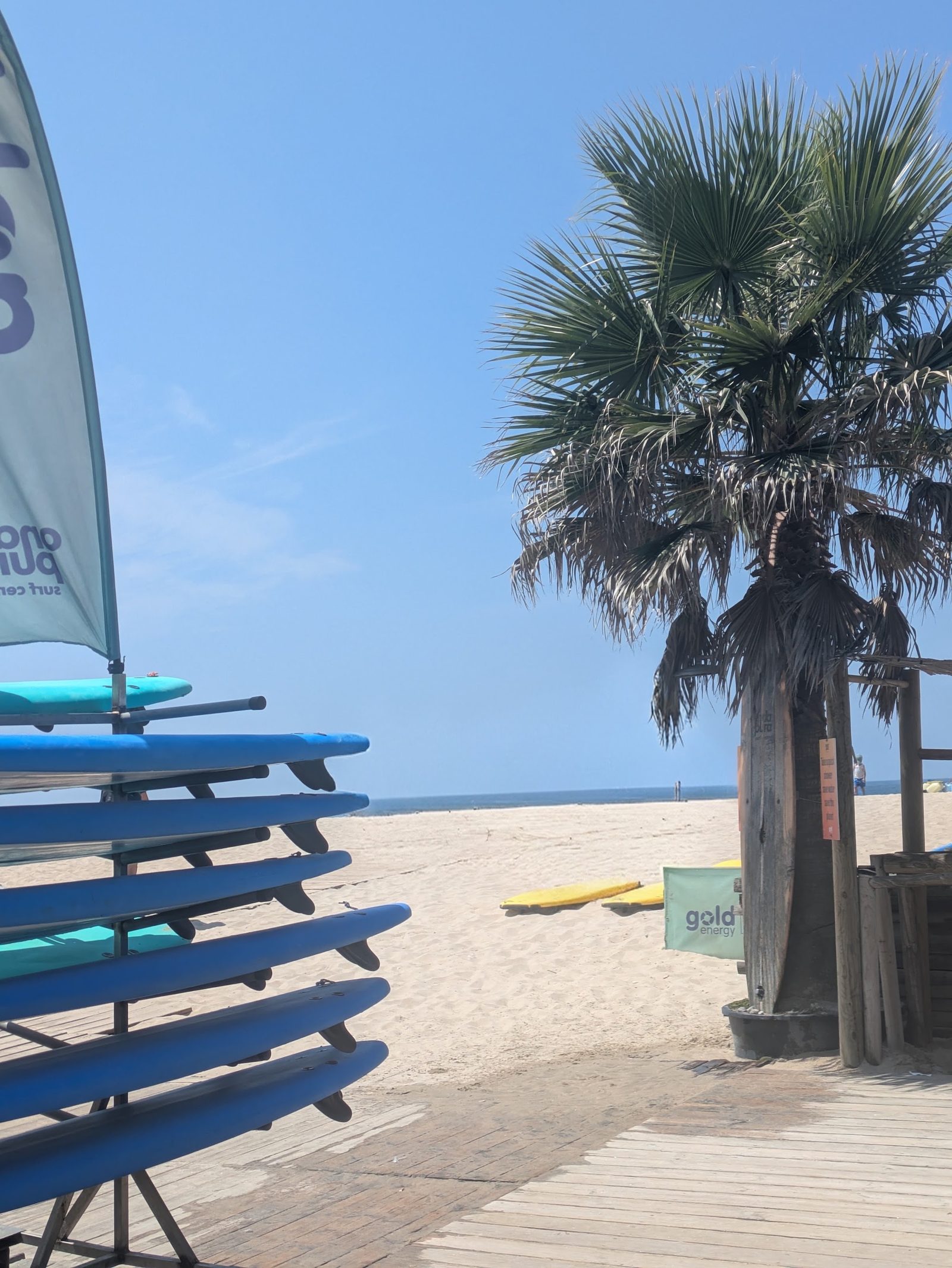 Onda Pura - Surf Center