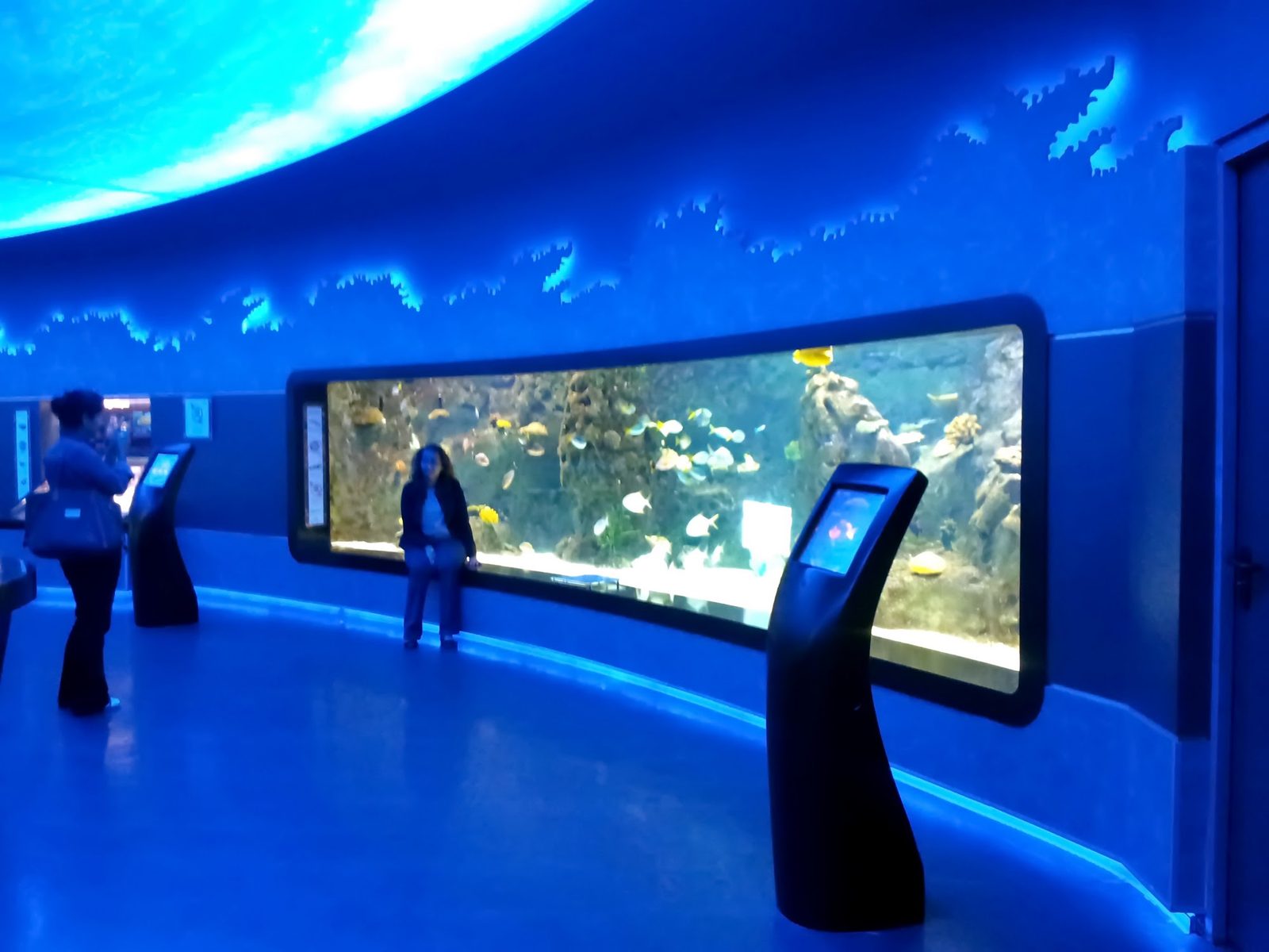 Istanbul Aquarium