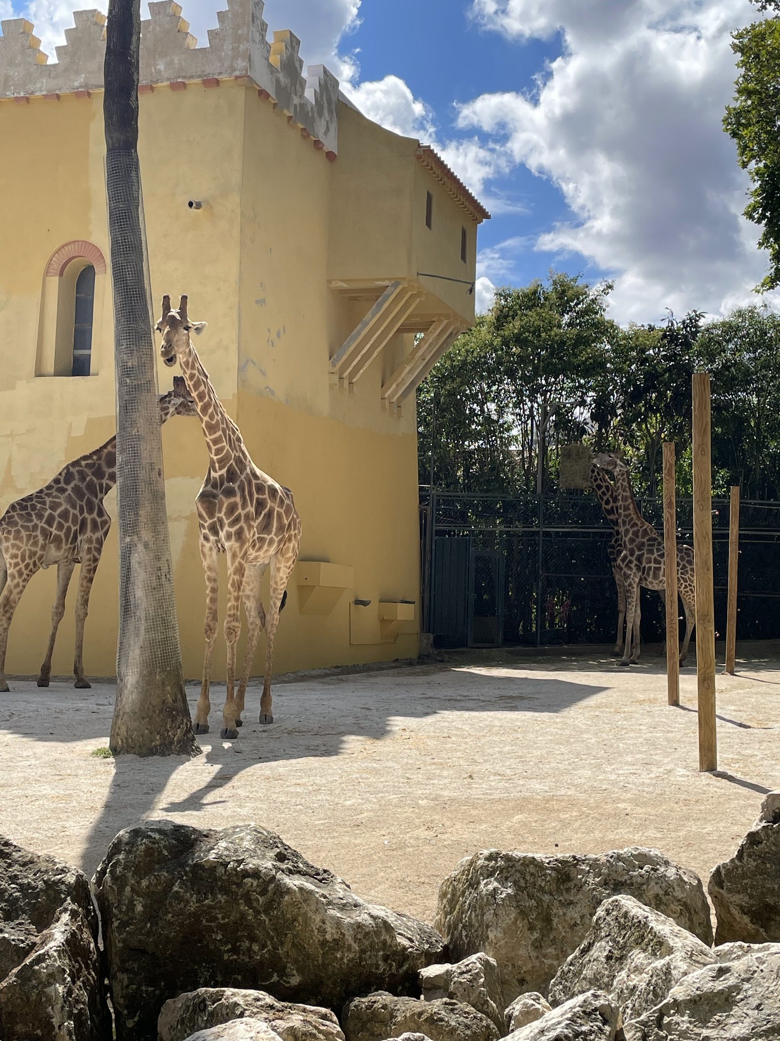 Jardim Zoológico