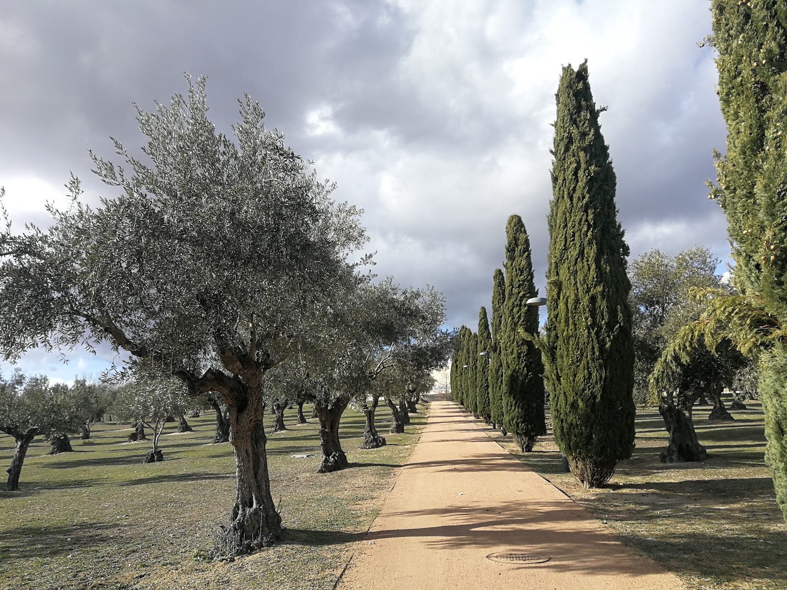 Parque Juan Carlos I