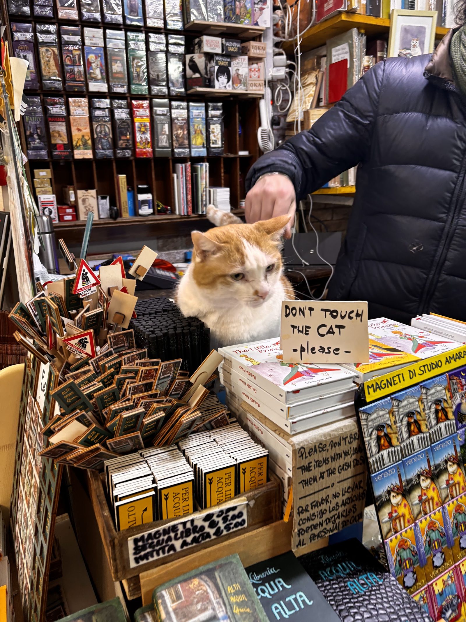 Libreria Acqua Alta