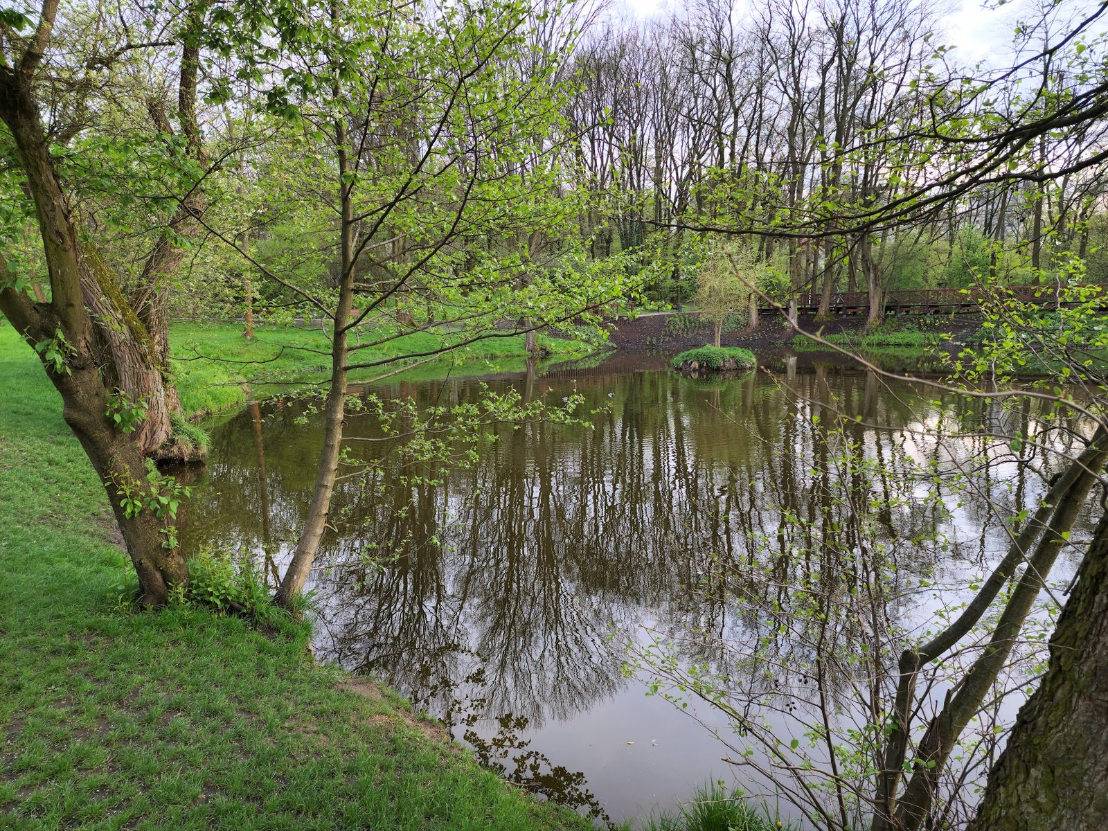 Park Duchacki