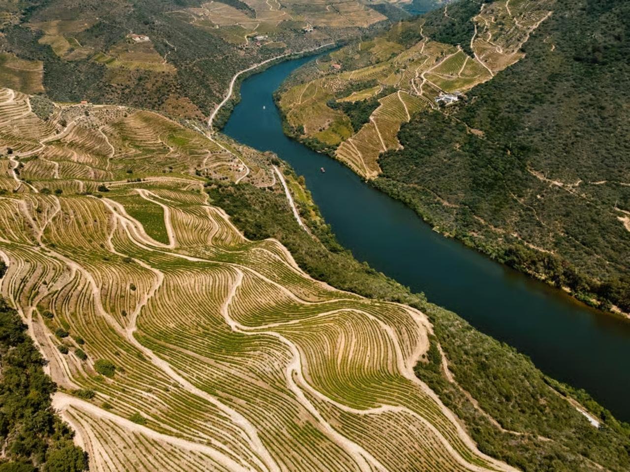 Douro Valley Full-Day Boat, Train, and Lunch Tour