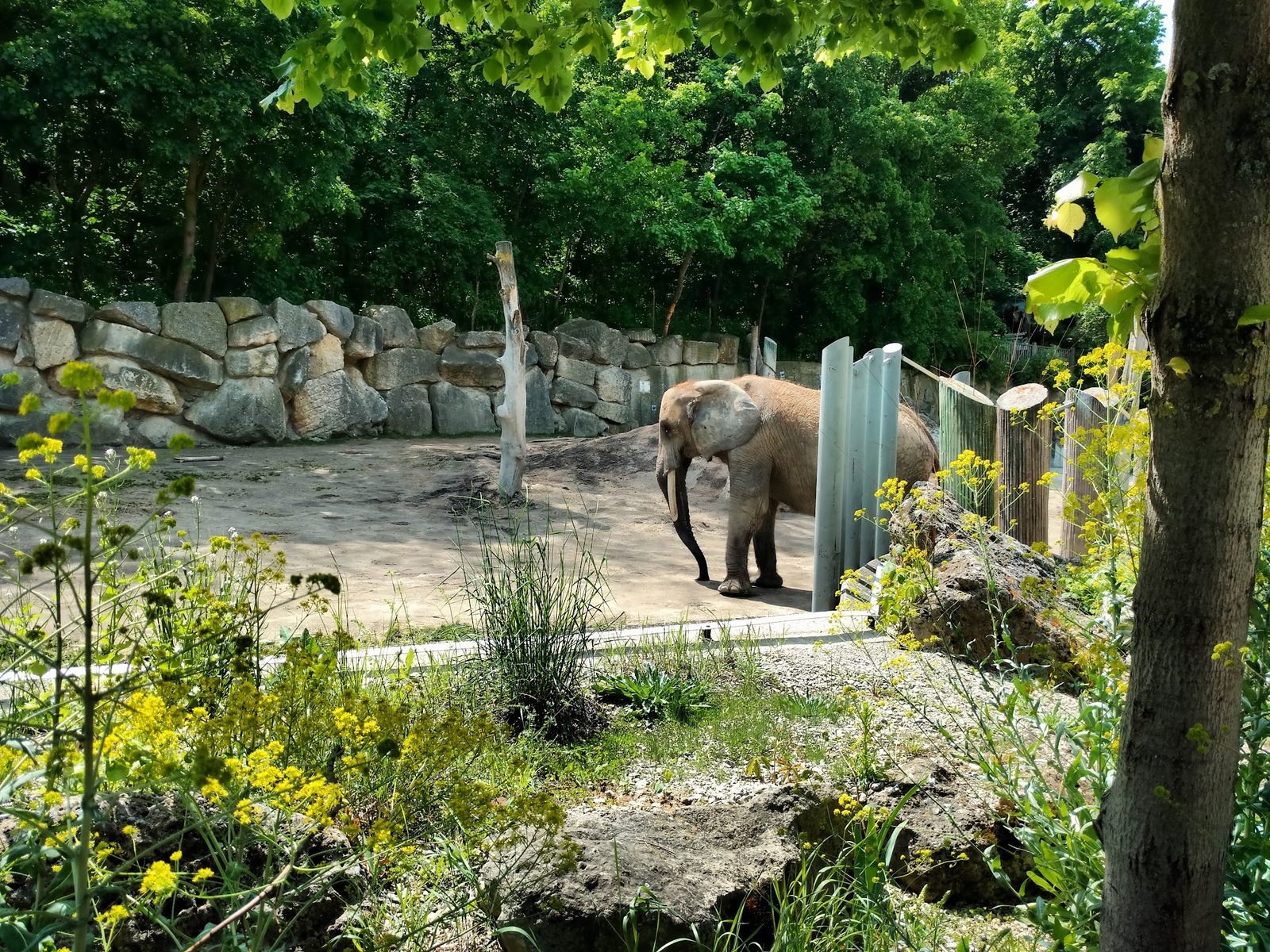 Schönbrunn Zoo