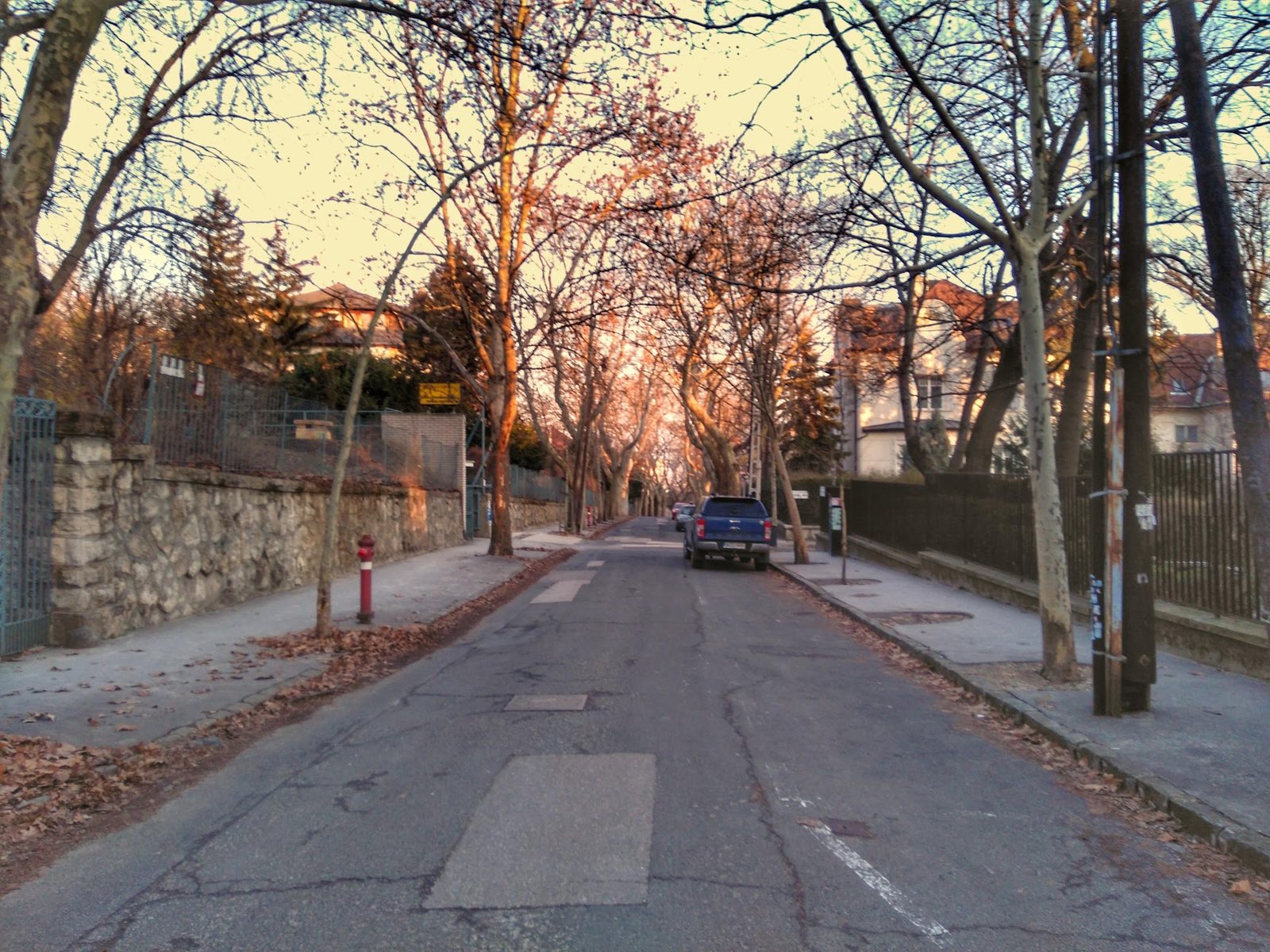 Rózsadomb